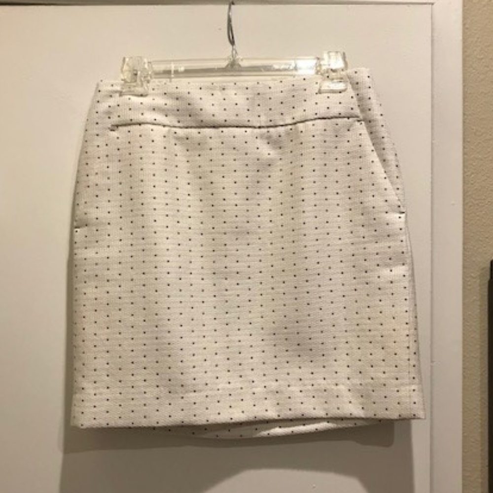 Ann Taylor Skirt